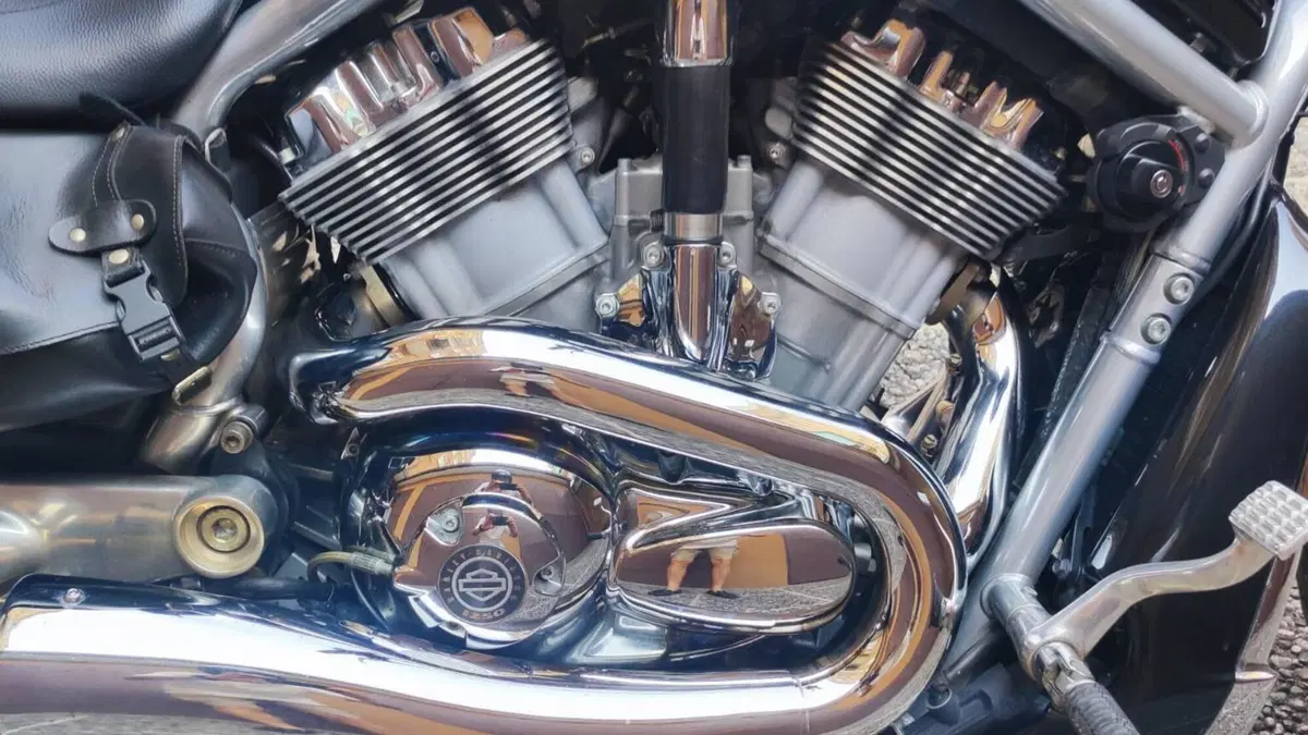 Harley-Davidson 1250 V-Rod (2008 - 12) - VRSCAW  (13)