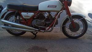 Moto Guzzi  