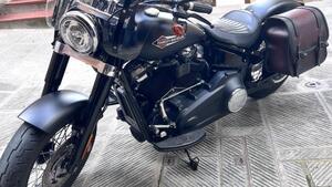 Harley-Davidson 107 Slim (2018 - 20) - FLSL 