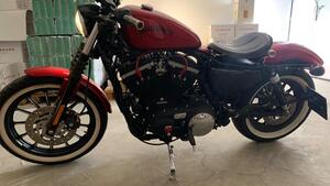 Harley-Davidson 883 Iron (2012 - 14) - XL 883N 