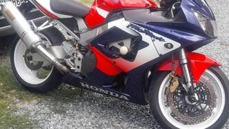 Honda CBR 900 RR Fireblade (2000 - 01) usata