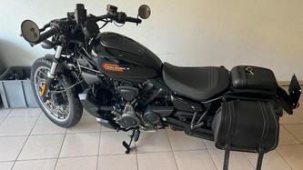 Harley-Davidson Nightster Special (2023 - 25) usata