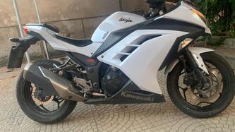 Kawasaki Ninja 300 ABS (2012 - 16) usata