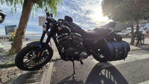 Harley-Davidson 1200 Roadster (2016 - 2017) - XL 1200R 