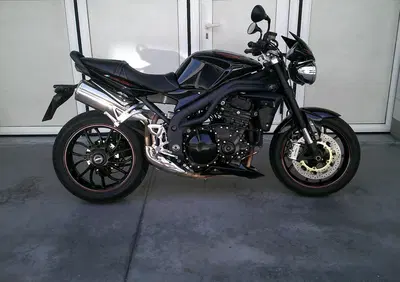 Triumph Speed Triple 1050 SE 15th Anniversary (2009 -10) - Annuncio 9790190