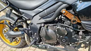Triumph Tiger 1050 (2006 - 12)  (3)