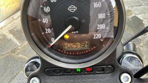 Harley-Davidson 1200 Iron (2018 - 20) - XL1200N 