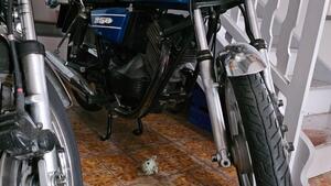Moto Morini  