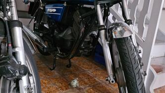 Moto Morini 250T epoca