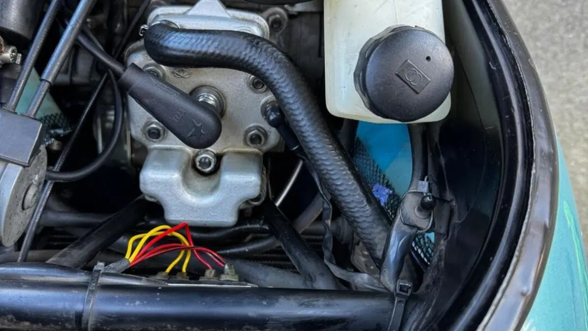 Gilera   (8)