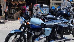 Triumph Bonneville T100 (2008 - 16) 