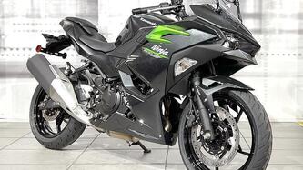 Kawasaki Ninja 500 (2024 - 25)