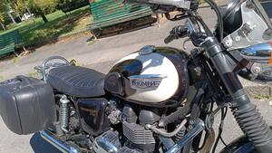 Triumph Bonneville T100 (2008 - 16) 