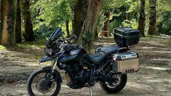 Triumph Tiger 800 XC (2015 - 17) usata