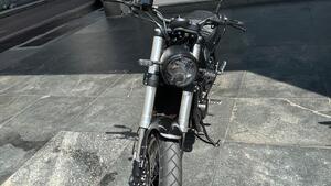 Benelli Leoncino 500 Trail (2021 - 25) 