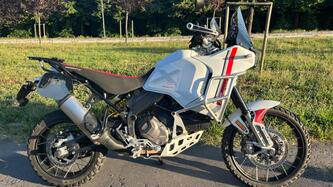 Ducati DesertX (2022 - 25) usata