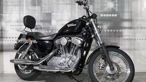 Harley-Davidson 883 (2006 - 07) - XL 