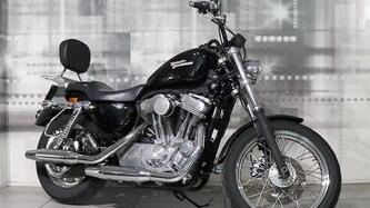 Harley-Davidson 883 (2006 - 07) - XL usata
