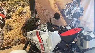 Ducati DesertX (2022 - 25) usata