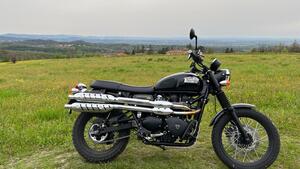 Triumph Scrambler (2006 - 17) 