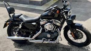 Harley-Davidson XL 1200N Nightster (2008 - 12) 