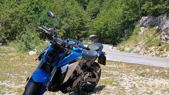 Suzuki GSX-S950 (2021 - 23) usata