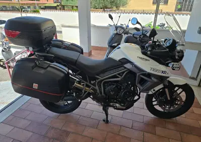 Triumph Tiger 800 XRx (2015 - 17) - Annuncio 9793243