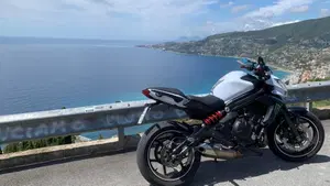 Kawasaki ER-6N ABS (2012 - 16)  (8)