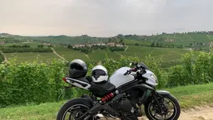 Kawasaki ER-6N ABS (2012 - 16)  (9)