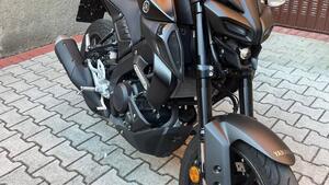 Yamaha MT-125 (2021 - 24) 