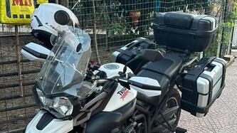 Triumph Tiger 800 ABS (2010 - 14) usata
