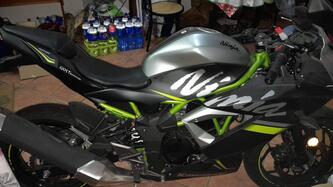 Kawasaki Ninja 125 (2019 - 20) usata