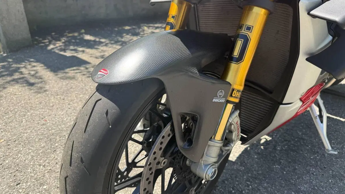 Ducati Streetfighter V4 1100 S (2021 - 22)  (9)