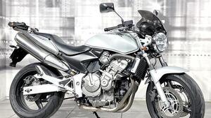 Honda Hornet 600 (2003 - 04) 