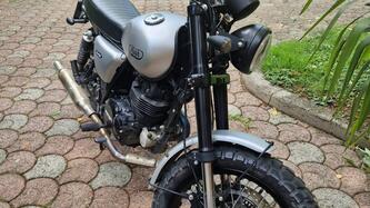Mash Italia Two Fifty 250 (2021 - 25)