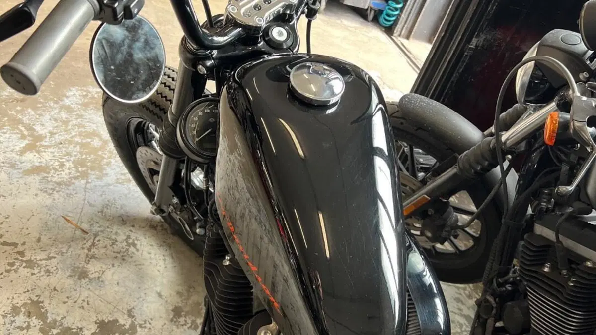 Harley-Davidson 1200 Forty-Eight (2010 - 15)  (3)
