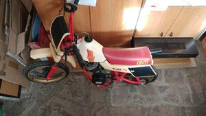 Morini  