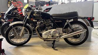 Norton 