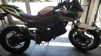 Kawasaki Z e-1 (2024 - 25) usata