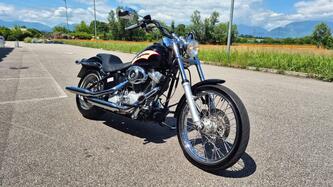 Harley-Davidson 1584 Custom (2007) - FXSTC