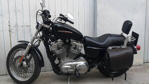 Harley-Davidson 883 Low (2005) - XL 883L 