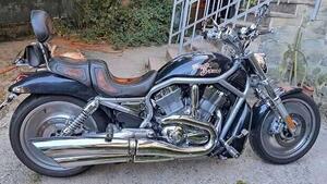 Harley-Davidson 1130 V-Rod (2002 - 05) - VRSCA 