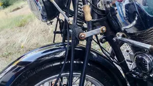 Bsa   (3)