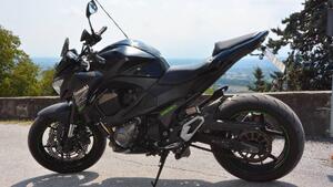 Kawasaki Z 800 Performance (2013 - 13) 