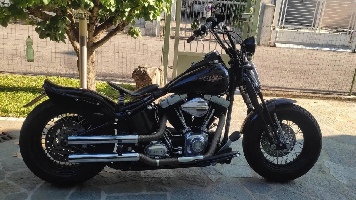 Harley-Davidson 1584 Cross Bones (2008 - 11) - FLSTSB  (2)