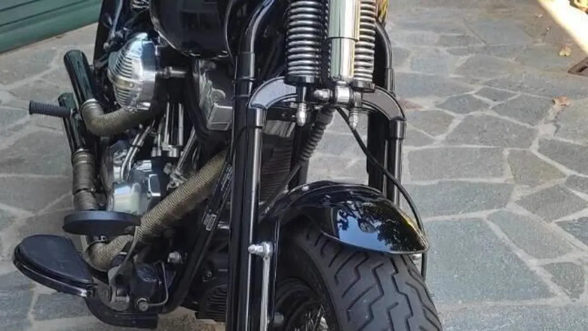 Harley-Davidson 1584 Cross Bones (2008 - 11) - FLSTSB  (3)