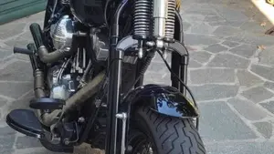Harley-Davidson 1584 Cross Bones (2008 - 11) - FLSTSB  (3)