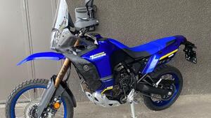 Yamaha Ténéré 700 World Raid (2022 - 25) 