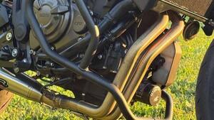 Yamaha XSR 700 (2021) 