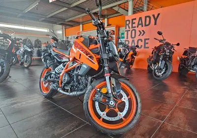 KTM 390 Duke (2024 - 25) - Annuncio 9796712